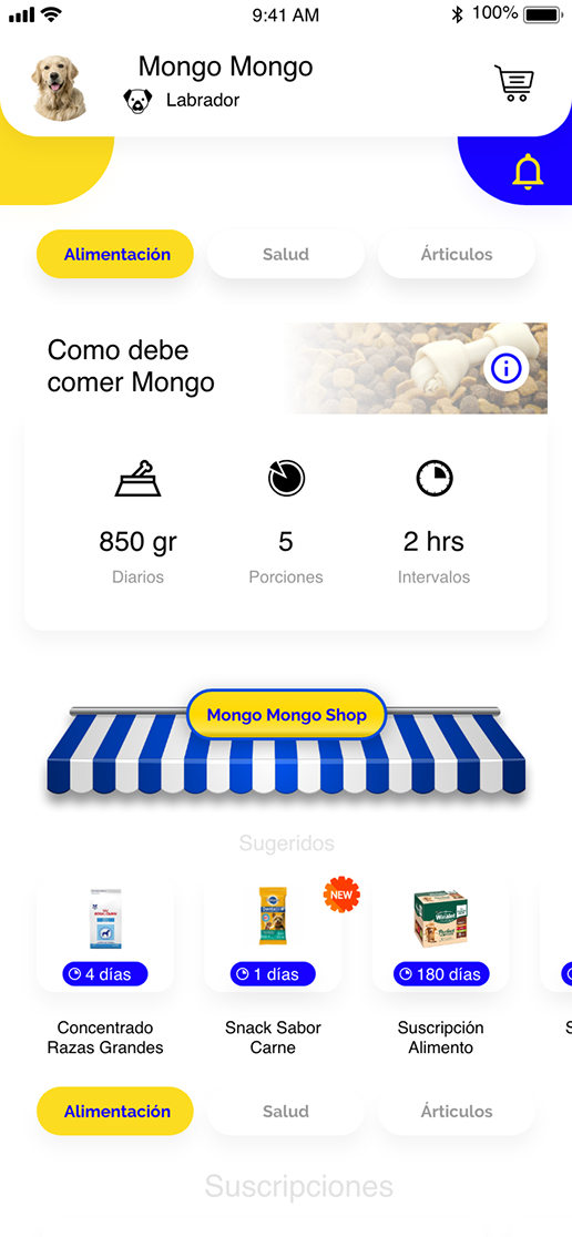 Plano de alimentação com porções diárias e intervalos recomendados.