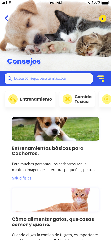 Seção de dicas e artigos de cuidado para cães e gatos.
